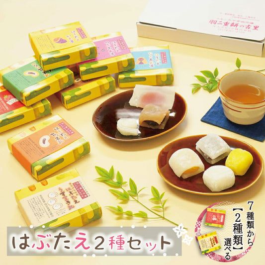 羽二重餅 はぶたえ 選べる 2個セット 小箱 食べきりサイズ
